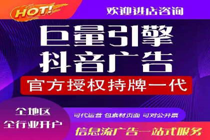 某公司SEM代理策略：实现流量转化